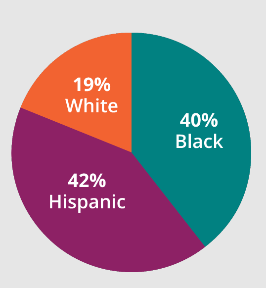 Chart: Number of Loans By Race
