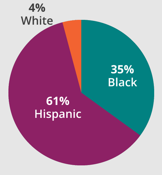 Chart: Loan Dollar Amounts By Race
